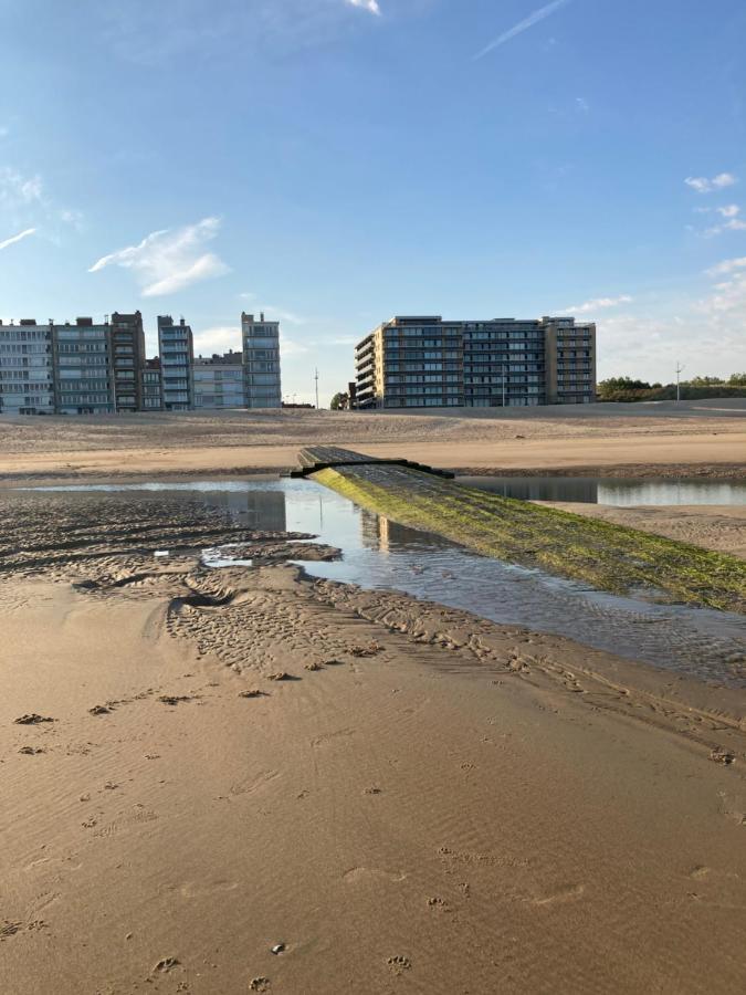 Villa Michry Koksijde 4 Adultes 2 Enfants Proche Digue Et Centre Exterior photo